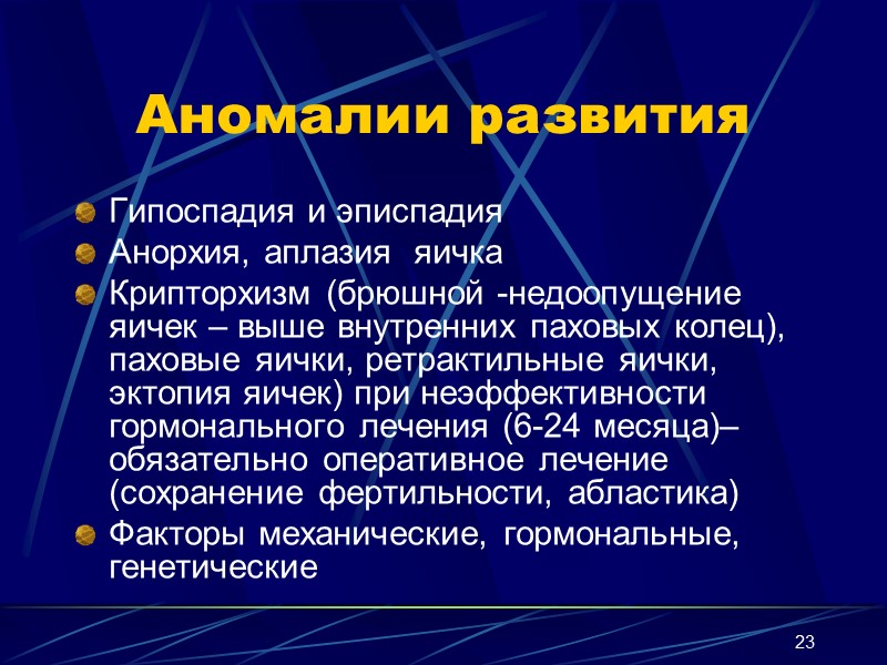 23 Аномалии развития Гипоспадия и эписпадия Анорхия, аплазия  яичка Крипторхизм (брюшной -недоопущение яичек